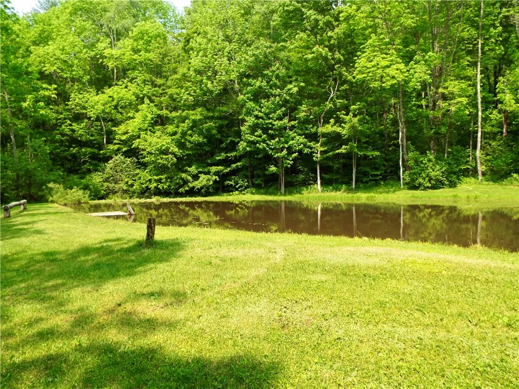 173 Bristol Road, Otsego, New York 13348, Otsego, New York 13348, ,Land,For Sale,173 Bristol Road, Otsego, New York 13348,R1621531