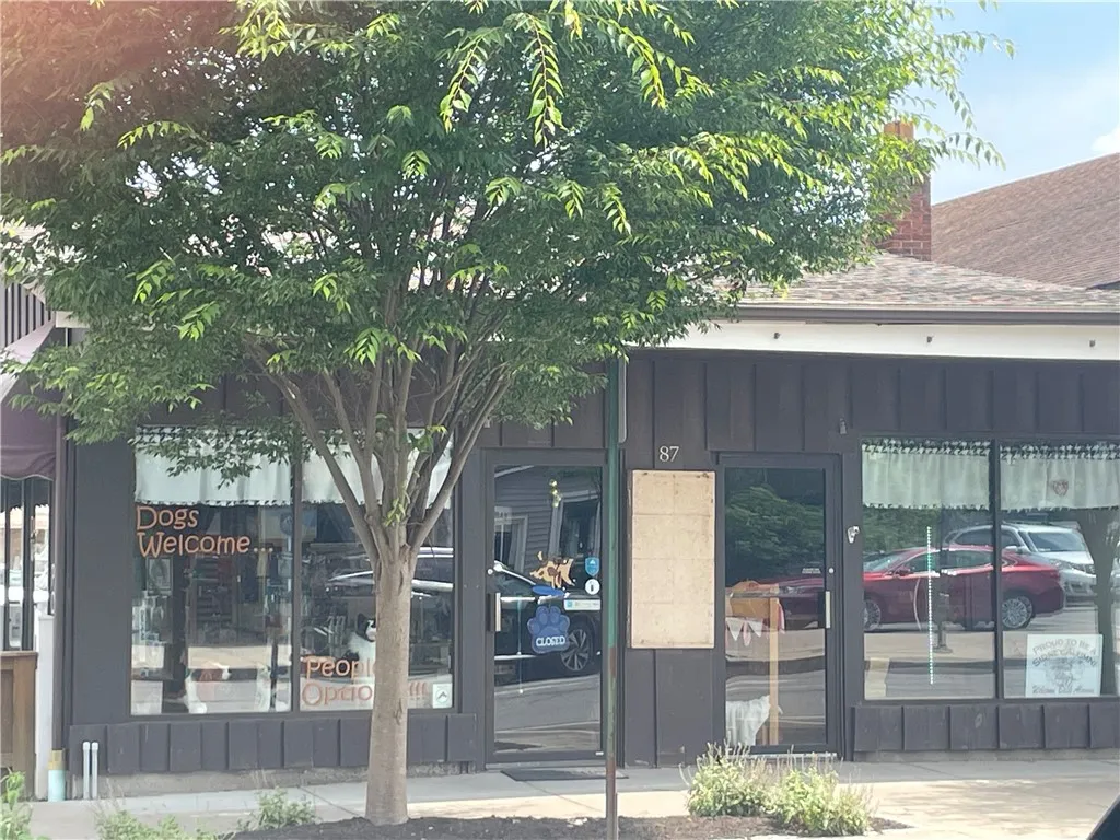 87 Main Street, Sidney, New York 13838, Sidney, New York 13838, ,Commercial Sale,For Sale,87 Main Street, Sidney, New York 13838,R1619676