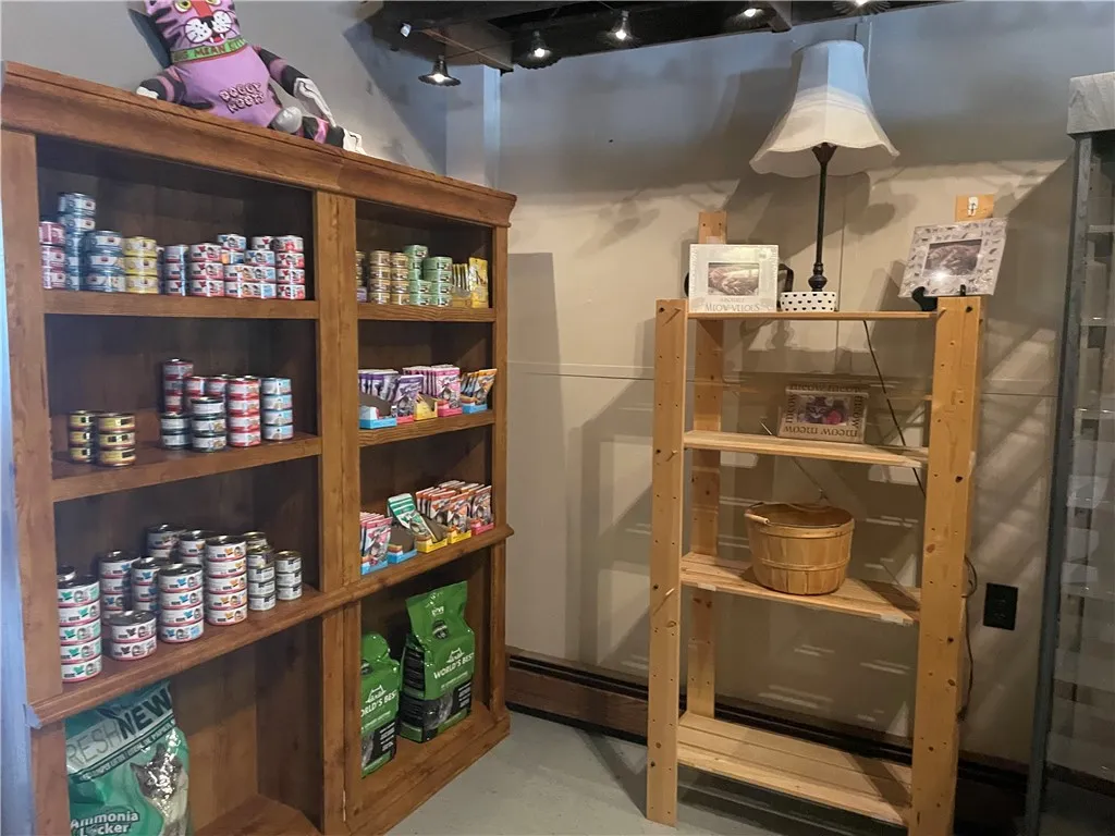 87 Main Street, Sidney, New York 13838, Sidney, New York 13838, ,Commercial Sale,For Sale,87 Main Street, Sidney, New York 13838,R1619676