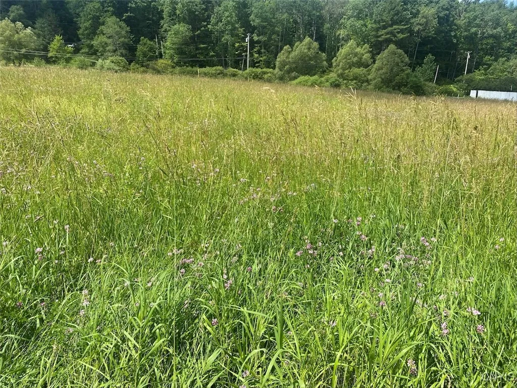 9079 Stout Road, Cuba, New York 14727, Cuba, New York 14727, 3 Bedrooms Bedrooms, ,1 BathroomBathrooms,Land,For Sale,9079 Stout Road, Cuba, New York 14727,S1621996