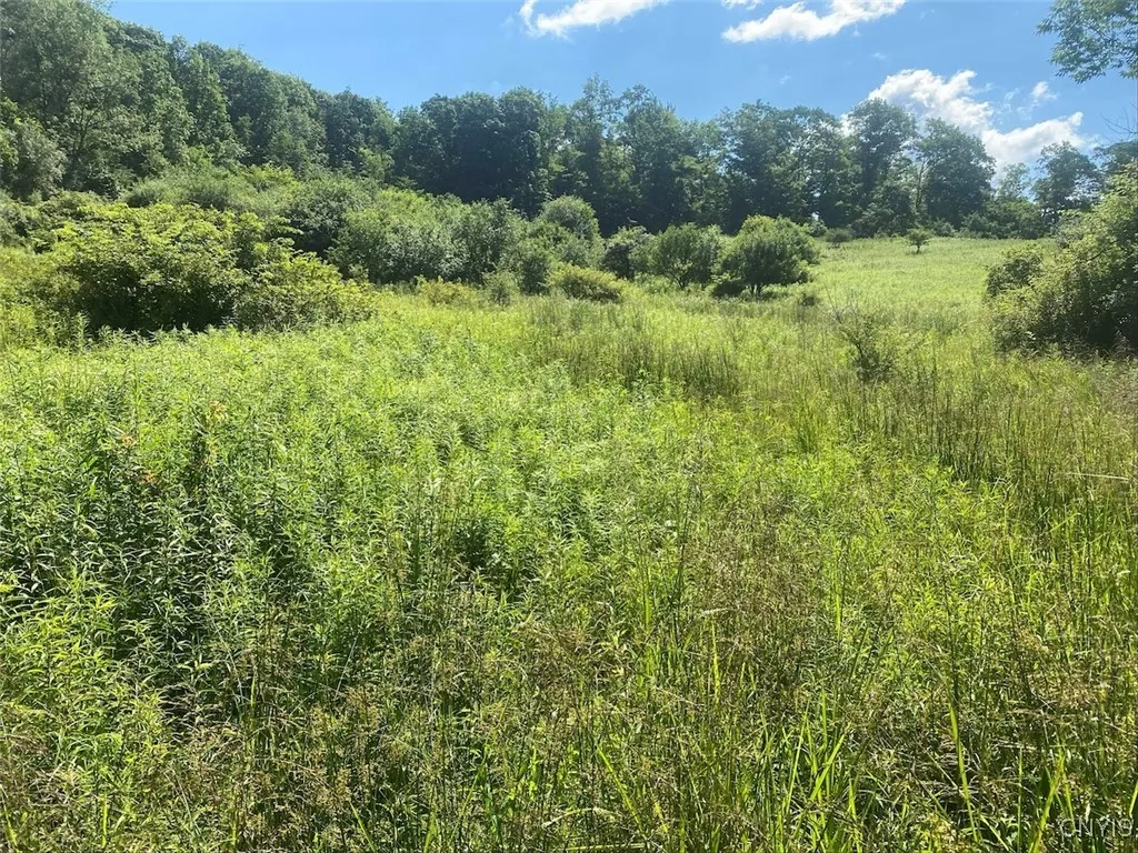 9079 Stout Road, Cuba, New York 14727, Cuba, New York 14727, 3 Bedrooms Bedrooms, ,1 BathroomBathrooms,Land,For Sale,9079 Stout Road, Cuba, New York 14727,S1621996
