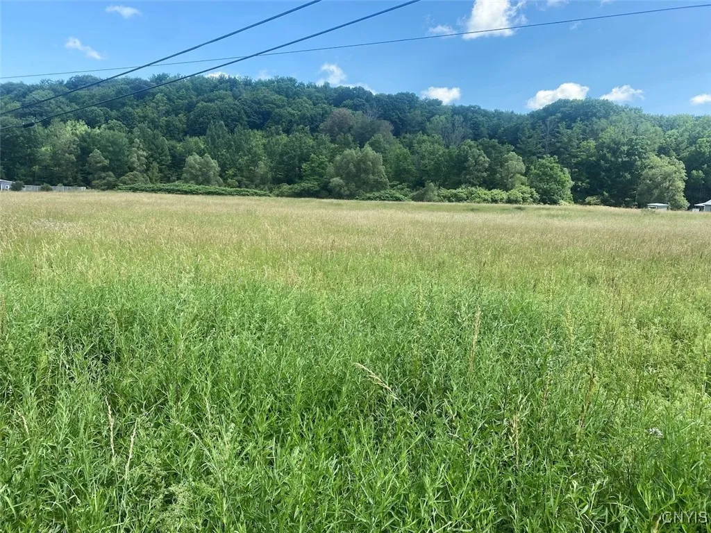 9079 Stout Road, Cuba, New York 14727, Cuba, New York 14727, 3 Bedrooms Bedrooms, ,1 BathroomBathrooms,Land,For Sale,9079 Stout Road, Cuba, New York 14727,S1621996
