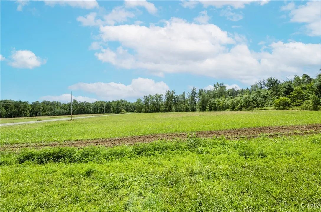 7550 Collamer Road, Manlius, New York 13057, Manlius, New York 13057, ,Land,For Sale,7550 Collamer Road, Manlius, New York 13057,S1622005