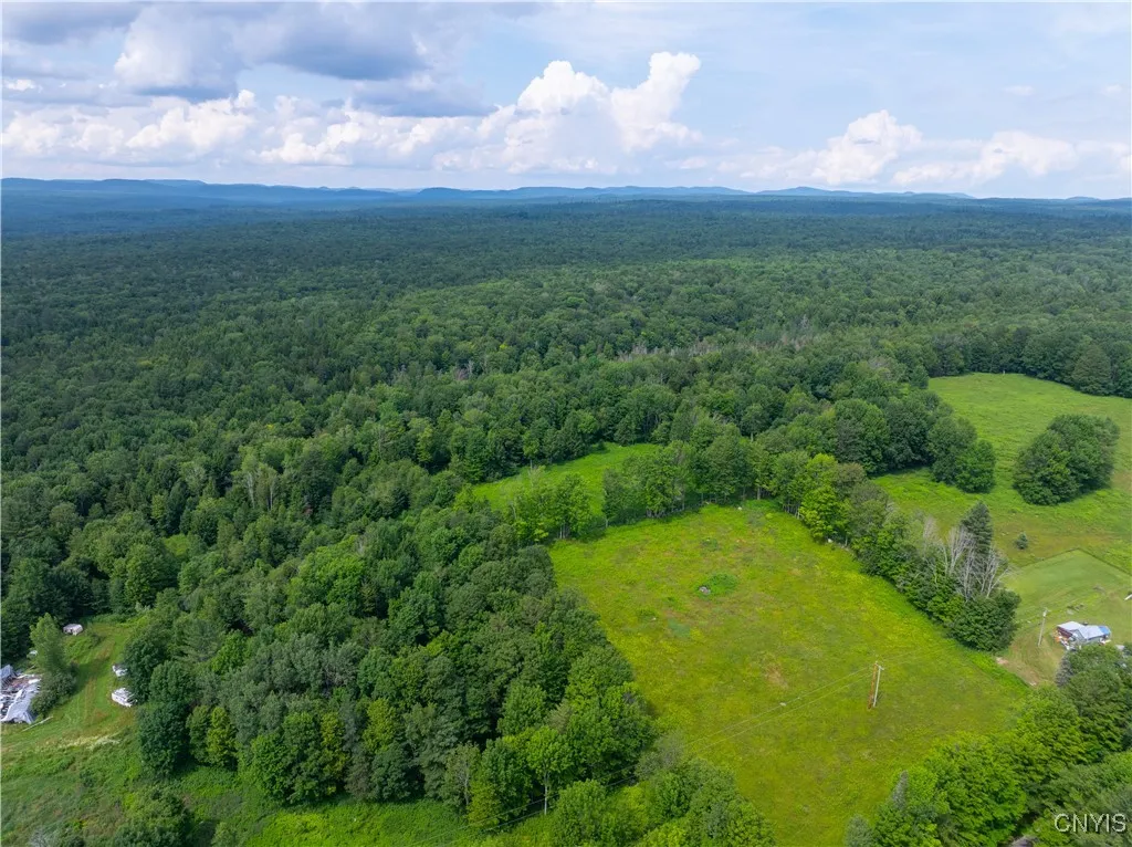 Hadcock Road, Stratford, New York 13470, Stratford, New York 13470, ,Land,For Sale,Hadcock Road, Stratford, New York 13470,S1622027