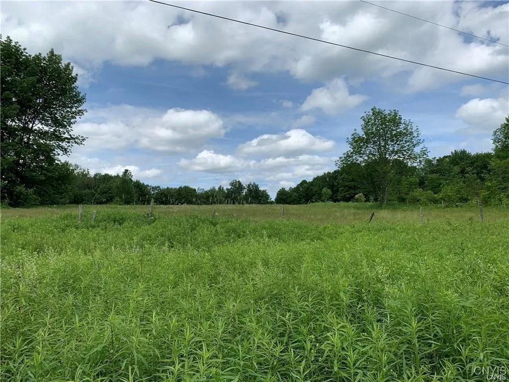 Hadcock Road, Stratford, New York 13470, Stratford, New York 13470, ,Land,For Sale,Hadcock Road, Stratford, New York 13470,S1622027
