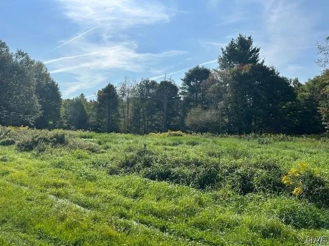 Hadcock Road, Stratford, New York 13470, Stratford, New York 13470, ,Land,For Sale,Hadcock Road, Stratford, New York 13470,S1622027