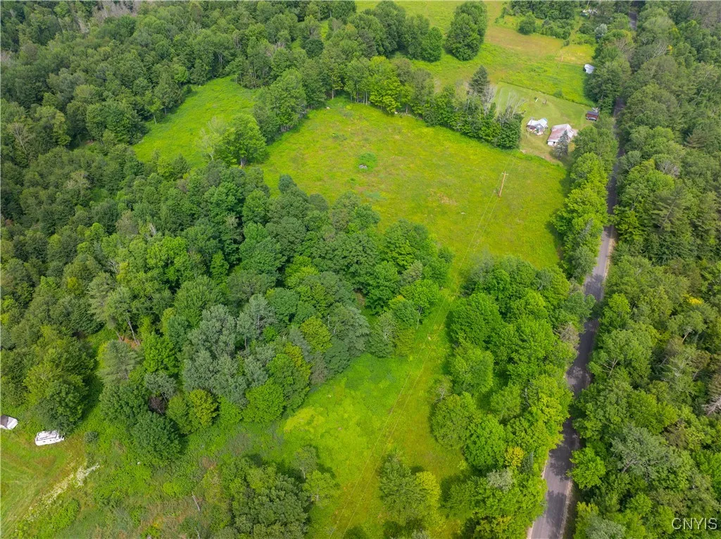 Hadcock Road, Stratford, New York 13470, Stratford, New York 13470, ,Land,For Sale,Hadcock Road, Stratford, New York 13470,S1622027