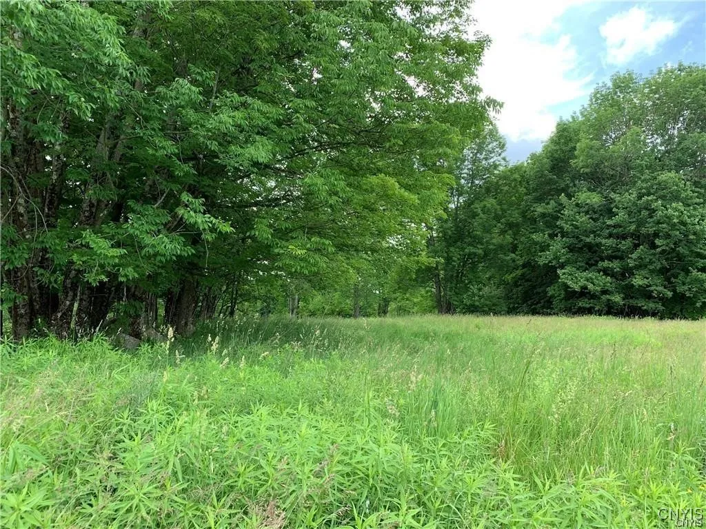 Hadcock Road, Stratford, New York 13470, Stratford, New York 13470, ,Land,For Sale,Hadcock Road, Stratford, New York 13470,S1622027