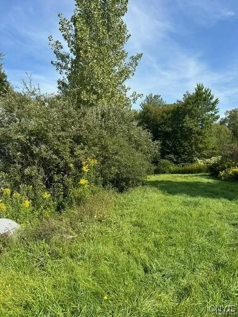 Hadcock Road, Stratford, New York 13470, Stratford, New York 13470, ,Land,For Sale,Hadcock Road, Stratford, New York 13470,S1622027