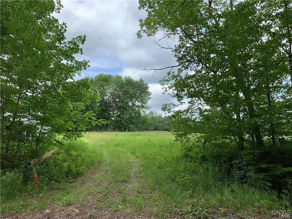 Hadcock Road, Stratford, New York 13470, Stratford, New York 13470, ,Land,For Sale,Hadcock Road, Stratford, New York 13470,S1622027