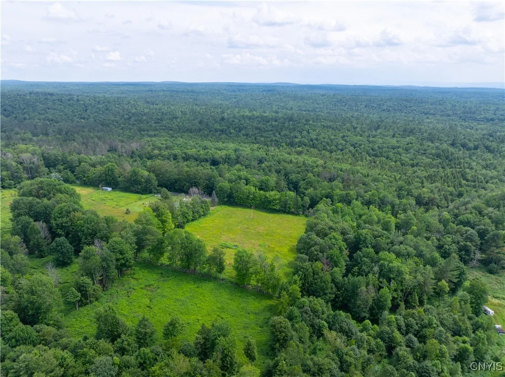Hadcock Road, Stratford, New York 13470, Stratford, New York 13470, ,Land,For Sale,Hadcock Road, Stratford, New York 13470,S1622027