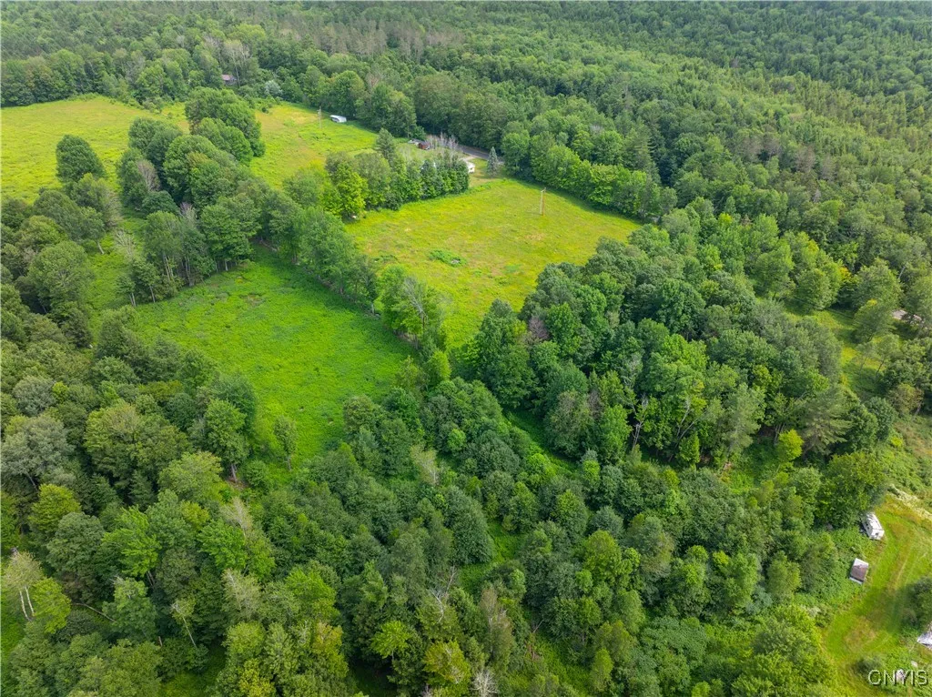 Hadcock Road, Stratford, New York 13470, Stratford, New York 13470, ,Land,For Sale,Hadcock Road, Stratford, New York 13470,S1622027
