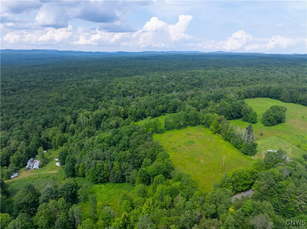Hadcock Road, Stratford, New York 13470, Stratford, New York 13470, ,Land,For Sale,Hadcock Road, Stratford, New York 13470,S1622027