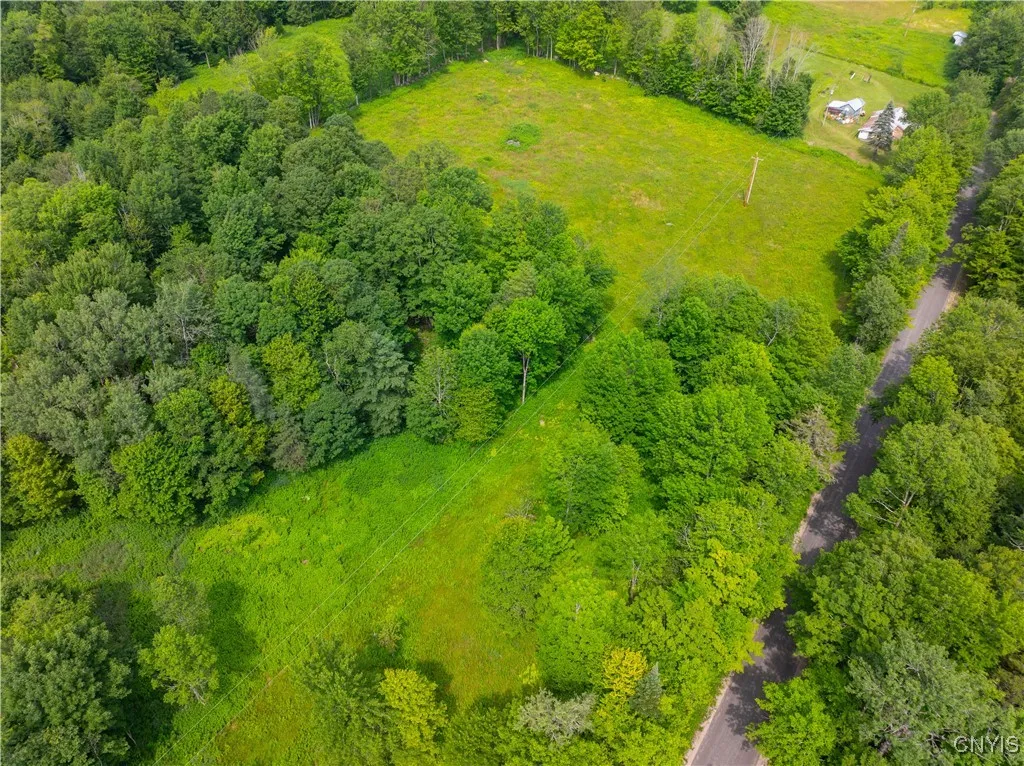Hadcock Road, Stratford, New York 13470, Stratford, New York 13470, ,Land,For Sale,Hadcock Road, Stratford, New York 13470,S1622027