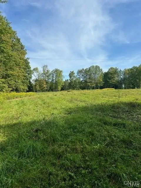 Hadcock Road, Stratford, New York 13470, Stratford, New York 13470, ,Land,For Sale,Hadcock Road, Stratford, New York 13470,S1622027