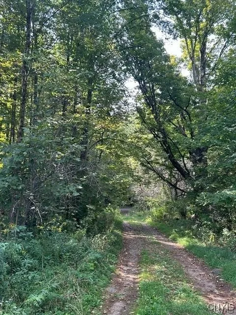 Hadcock Road, Stratford, New York 13470, Stratford, New York 13470, ,Land,For Sale,Hadcock Road, Stratford, New York 13470,S1622027