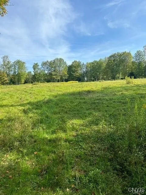 Hadcock Road, Stratford, New York 13470, Stratford, New York 13470, ,Land,For Sale,Hadcock Road, Stratford, New York 13470,S1622027