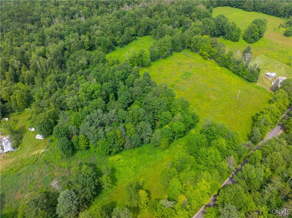 Hadcock Road, Stratford, New York 13470, Stratford, New York 13470, ,Land,For Sale,Hadcock Road, Stratford, New York 13470,S1622027