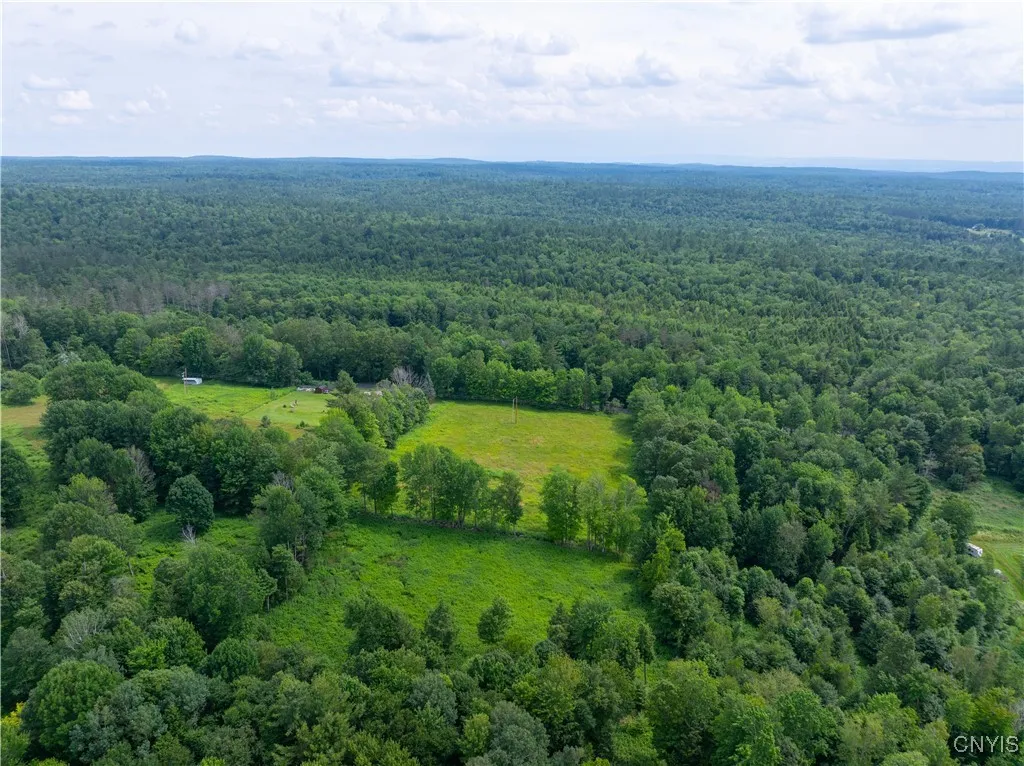Hadcock Road, Stratford, New York 13470, Stratford, New York 13470, ,Land,For Sale,Hadcock Road, Stratford, New York 13470,S1622027