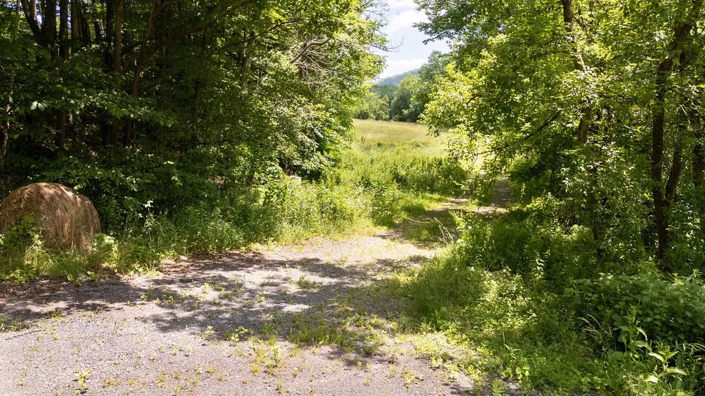 41561-1 State Highway 10, Delhi, New York 13753, Delhi, New York 13753, 4 Bedrooms Bedrooms, 8 Rooms Rooms,1 BathroomBathrooms,Residential,For Sale,41561-1 State Highway 10, Delhi, New York 13753,R1619642