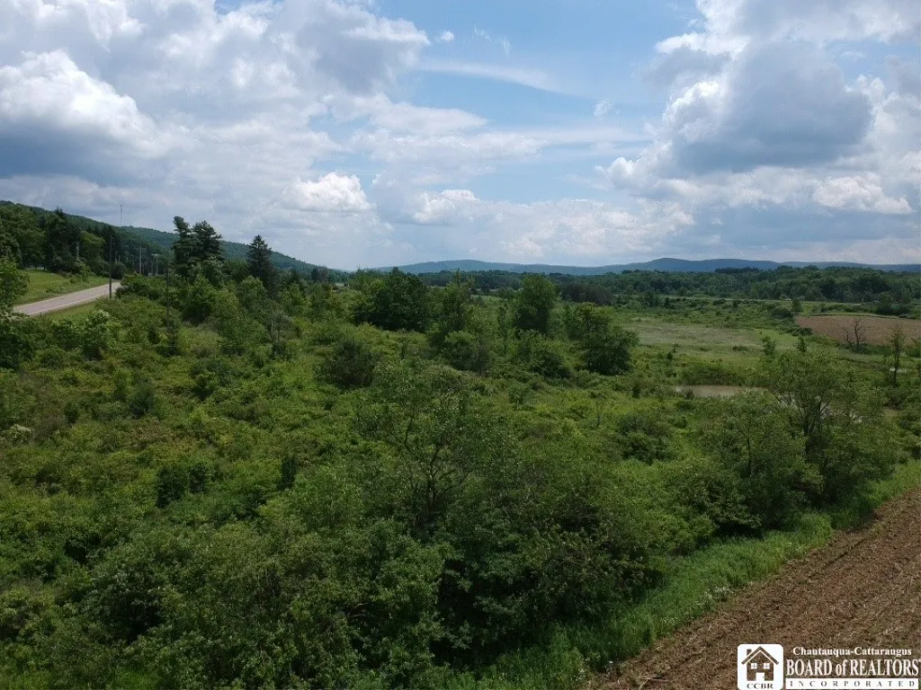 2364 Five Mile Road, Allegany, New York 14706, Allegany, New York 14706, ,Land,For Sale,2364 Five Mile Road, Allegany, New York 14706,R1622043