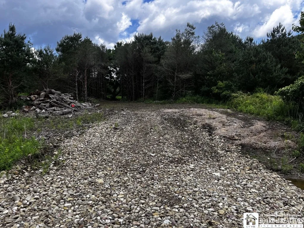 2364 Five Mile Road, Allegany, New York 14706, Allegany, New York 14706, ,Land,For Sale,2364 Five Mile Road, Allegany, New York 14706,R1622043