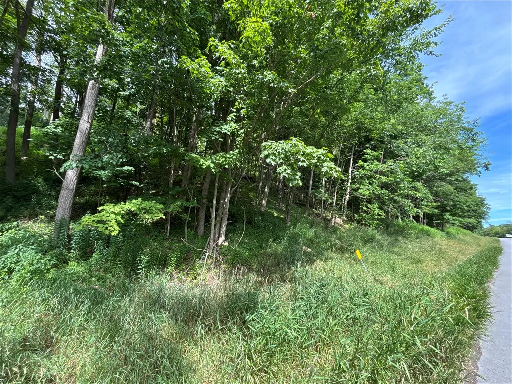 42 Delaware Street, Walton, New York 13856, Walton, New York 13856, 3 Bedrooms Bedrooms, 8 Rooms Rooms,1 BathroomBathrooms,Residential,For Sale,42 Delaware Street, Walton, New York 13856,R1622037