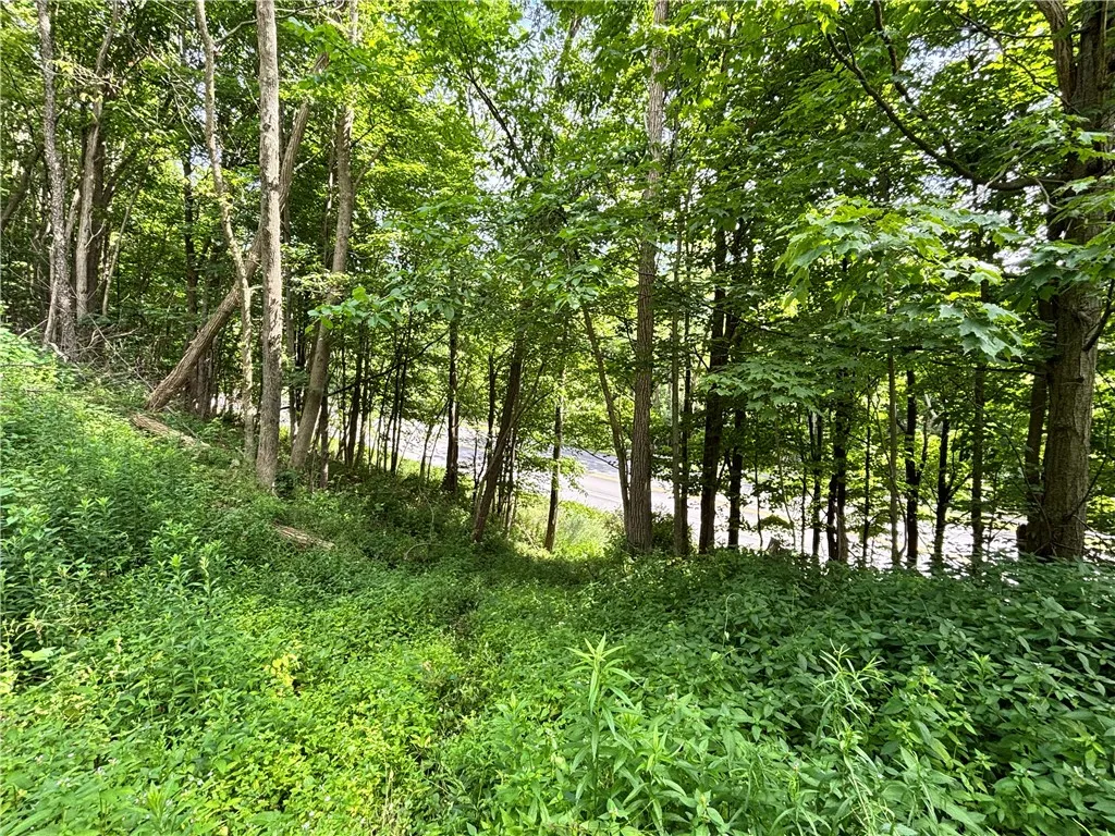42 Delaware Street, Walton, New York 13856, Walton, New York 13856, 3 Bedrooms Bedrooms, 8 Rooms Rooms,1 BathroomBathrooms,Residential,For Sale,42 Delaware Street, Walton, New York 13856,R1622037