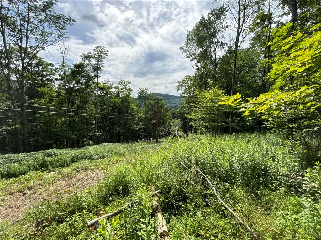 42 Delaware Street, Walton, New York 13856, Walton, New York 13856, 3 Bedrooms Bedrooms, 8 Rooms Rooms,1 BathroomBathrooms,Residential,For Sale,42 Delaware Street, Walton, New York 13856,R1622037