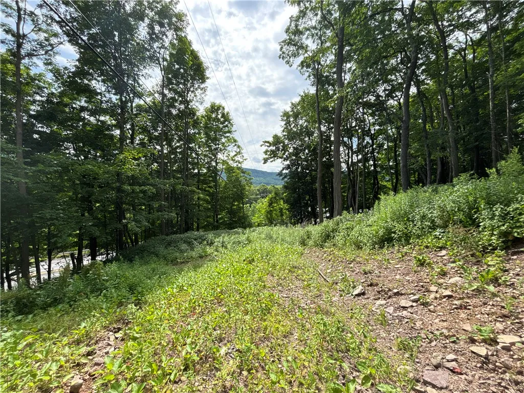 42 Delaware Street, Walton, New York 13856, Walton, New York 13856, 3 Bedrooms Bedrooms, 8 Rooms Rooms,1 BathroomBathrooms,Residential,For Sale,42 Delaware Street, Walton, New York 13856,R1622037