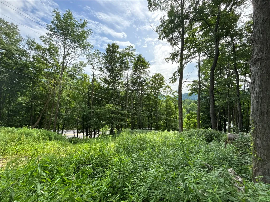 42 Delaware Street, Walton, New York 13856, Walton, New York 13856, 3 Bedrooms Bedrooms, 8 Rooms Rooms,1 BathroomBathrooms,Residential,For Sale,42 Delaware Street, Walton, New York 13856,R1622037