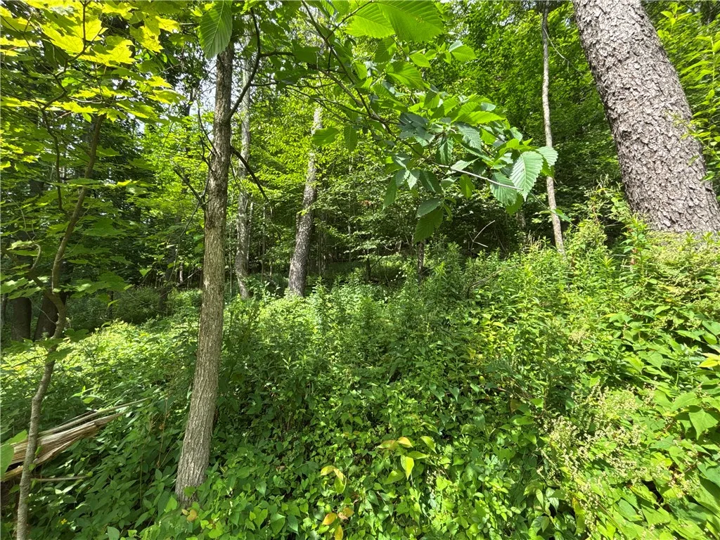 42 Delaware Street, Walton, New York 13856, Walton, New York 13856, 3 Bedrooms Bedrooms, 8 Rooms Rooms,1 BathroomBathrooms,Residential,For Sale,42 Delaware Street, Walton, New York 13856,R1622037