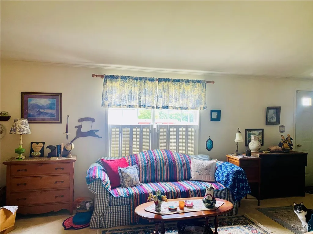 Large picture window lets so much natural light in