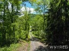 Christian Hollow Road, Southport, New York 14871, Southport, New York 14871, ,Land,For Sale,Christian Hollow Road, Southport, New York 14871,B1622066
