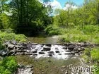 Christian Hollow Road, Southport, New York 14871, Southport, New York 14871, ,Land,For Sale,Christian Hollow Road, Southport, New York 14871,B1622066