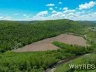 Christian Hollow Road, Southport, New York 14871, Southport, New York 14871, ,Land,For Sale,Christian Hollow Road, Southport, New York 14871,B1622066