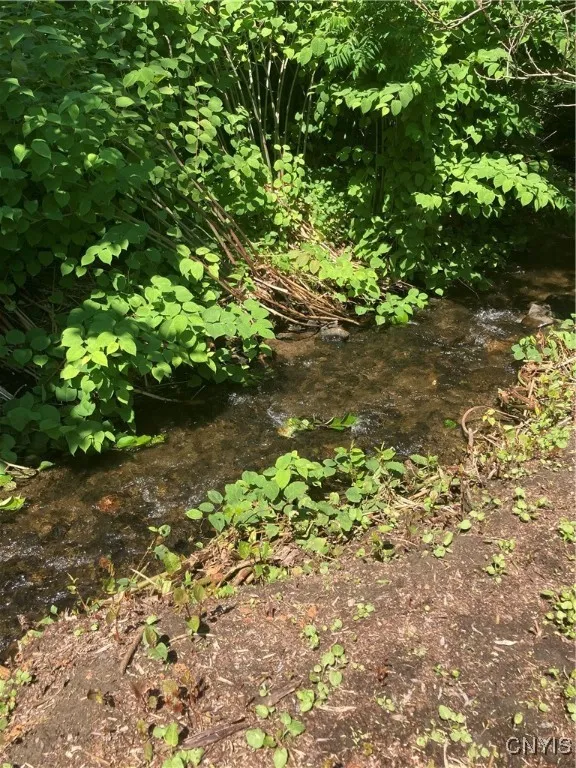 10435 State Rt, Ava, New York 13303, Ava, New York 13303, ,Commercial Sale,For Sale,10435 State Rt, Ava, New York 13303,S1621946