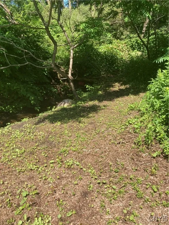 10435 State Rt, Ava, New York 13303, Ava, New York 13303, ,Commercial Sale,For Sale,10435 State Rt, Ava, New York 13303,S1621946
