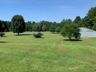 yard view
