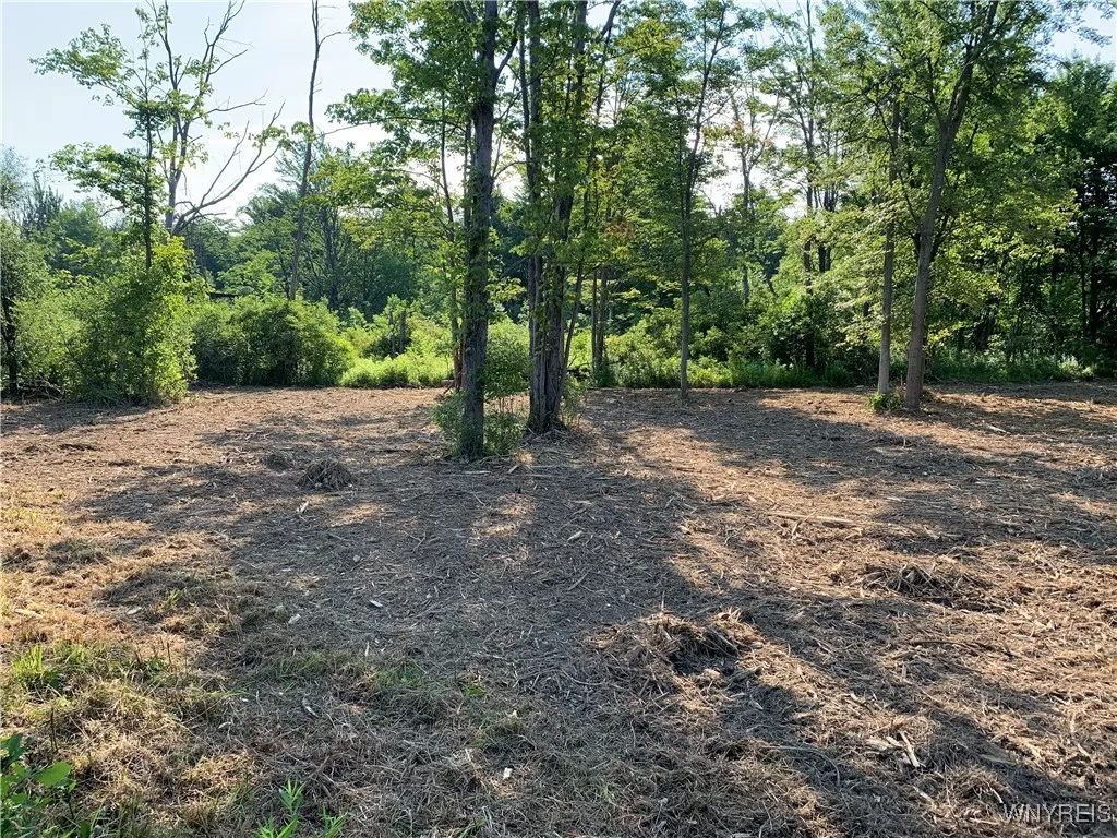 8393 Southwestern Boulevard, Evans, New York 14006, Evans, New York 14006, ,Land,For Sale,8393 Southwestern Boulevard, Evans, New York 14006,B1621718