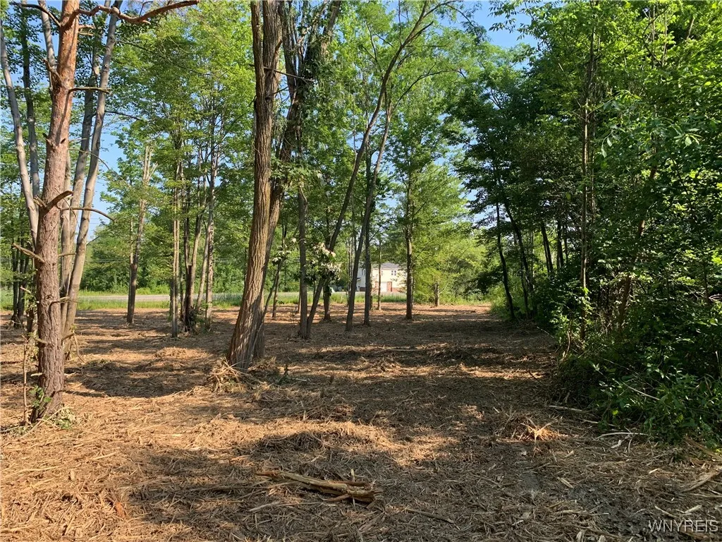 8393 Southwestern Boulevard, Evans, New York 14006, Evans, New York 14006, ,Land,For Sale,8393 Southwestern Boulevard, Evans, New York 14006,B1621718