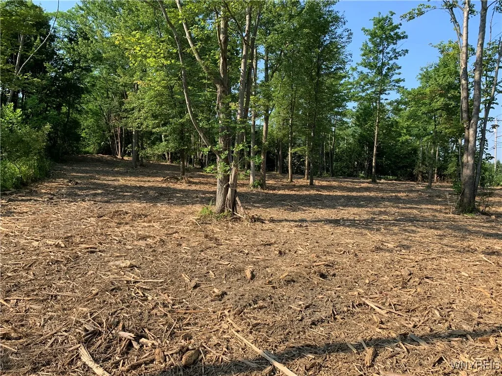 8393 Southwestern Boulevard, Evans, New York 14006, Evans, New York 14006, ,Land,For Sale,8393 Southwestern Boulevard, Evans, New York 14006,B1621718