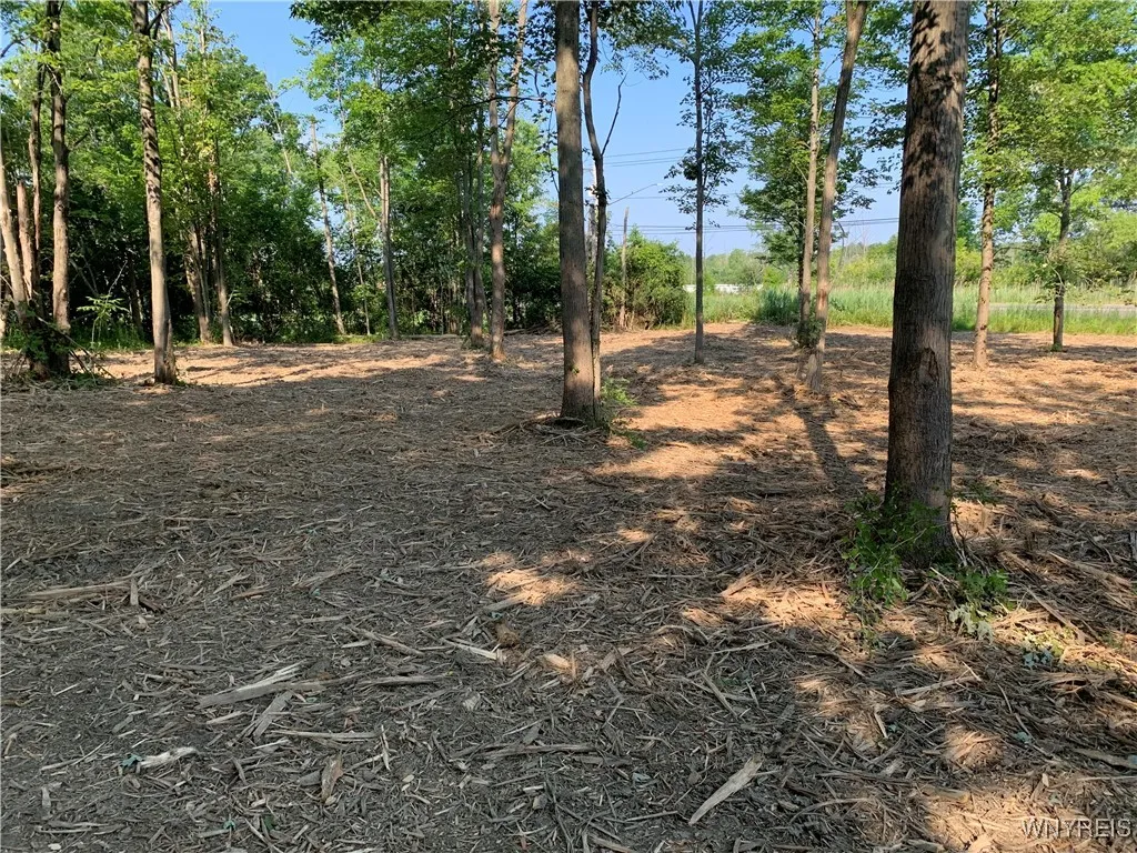 8393 Southwestern Boulevard, Evans, New York 14006, Evans, New York 14006, ,Land,For Sale,8393 Southwestern Boulevard, Evans, New York 14006,B1621718