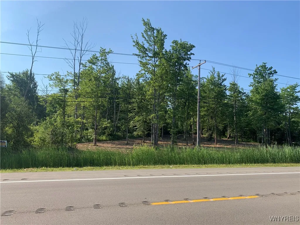 8393 Southwestern Boulevard, Evans, New York 14006, Evans, New York 14006, ,Land,For Sale,8393 Southwestern Boulevard, Evans, New York 14006,B1621718
