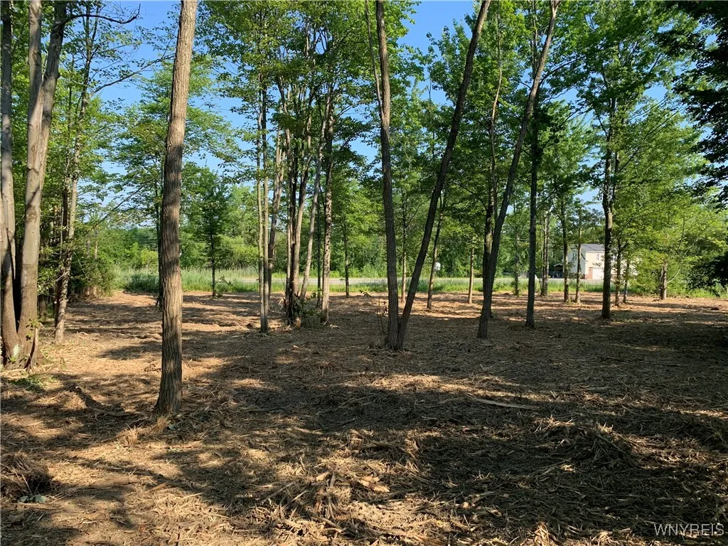 8393 Southwestern Boulevard, Evans, New York 14006, Evans, New York 14006, ,Land,For Sale,8393 Southwestern Boulevard, Evans, New York 14006,B1621718