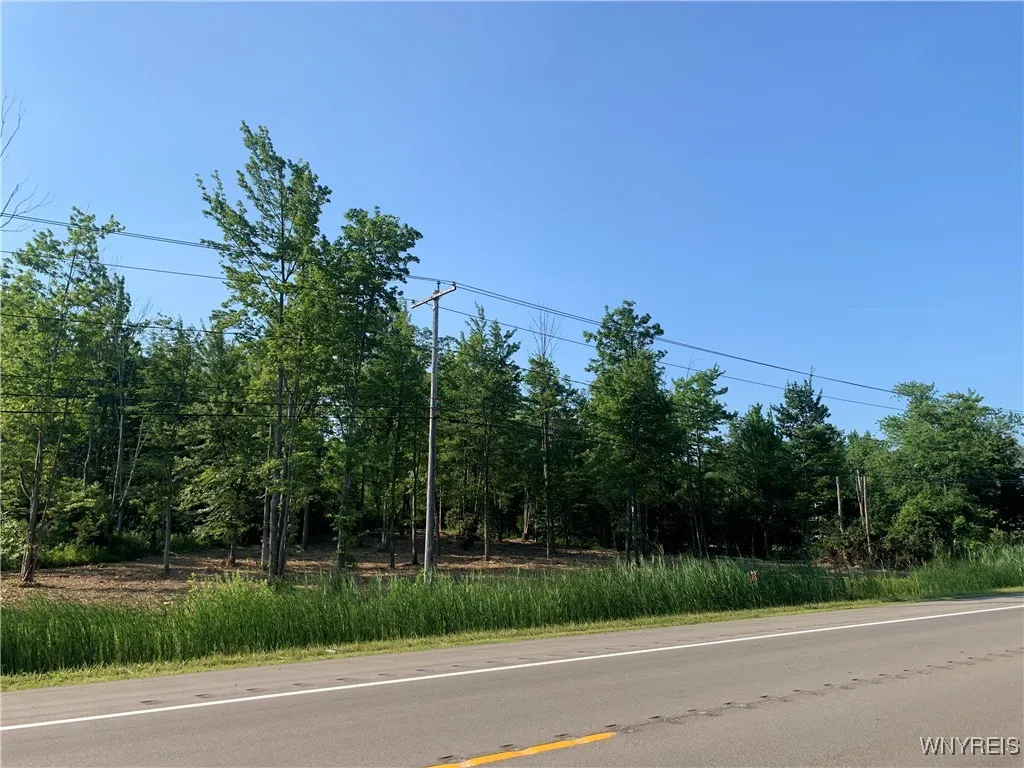 8393 Southwestern Boulevard, Evans, New York 14006, Evans, New York 14006, ,Land,For Sale,8393 Southwestern Boulevard, Evans, New York 14006,B1621718