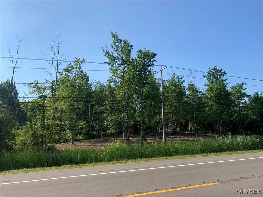 8393 Southwestern Boulevard, Evans, New York 14006, Evans, New York 14006, ,Land,For Sale,8393 Southwestern Boulevard, Evans, New York 14006,B1621718