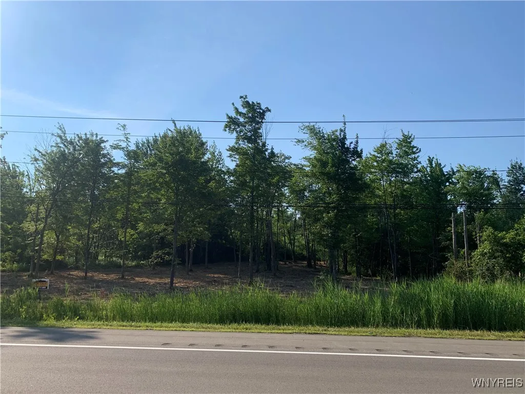 8393 Southwestern Boulevard, Evans, New York 14006, Evans, New York 14006, ,Land,For Sale,8393 Southwestern Boulevard, Evans, New York 14006,B1621718