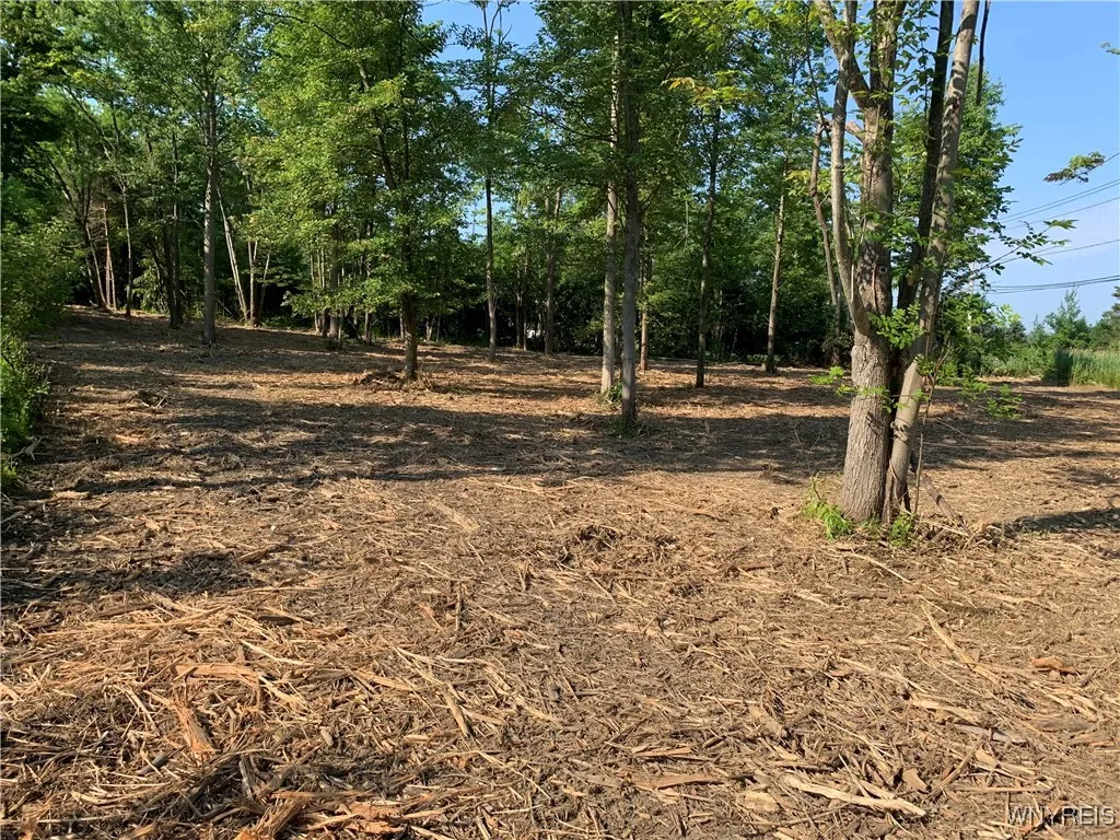 8393 Southwestern Boulevard, Evans, New York 14006, Evans, New York 14006, ,Land,For Sale,8393 Southwestern Boulevard, Evans, New York 14006,B1621718