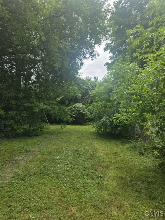 223 Lakeview Avenue, Syracuse, New York 13204, Syracuse, New York 13204, 6 Bedrooms Bedrooms, ,2 BathroomsBathrooms,Residential,For Sale,223 Lakeview Avenue, Syracuse, New York 13204,S1621023